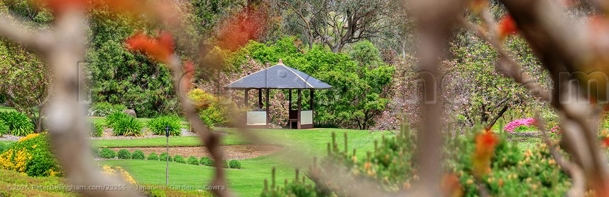 Peter Bellingham Photography Japanese Garden - Cowra